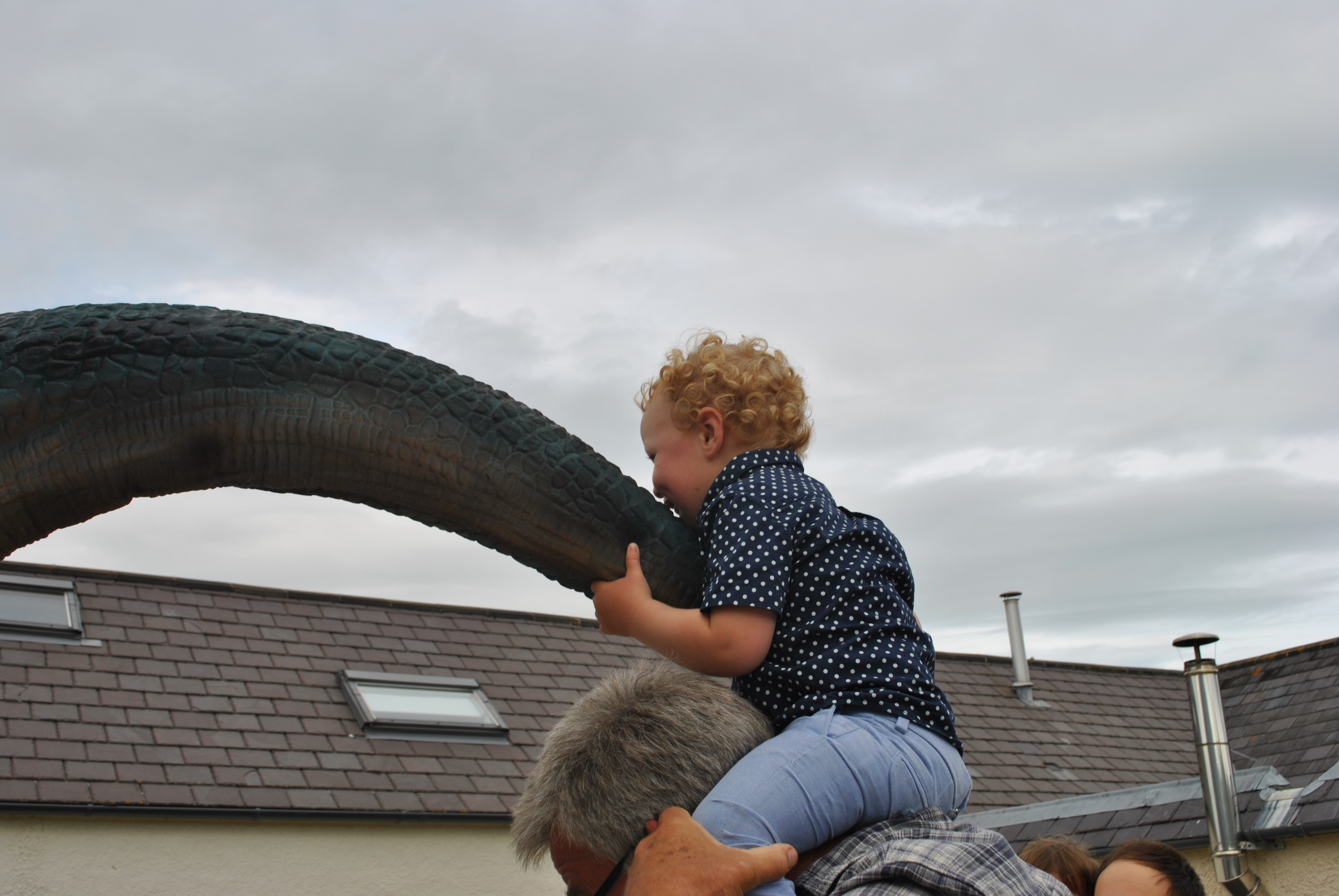 birthday boy catches dinosaur