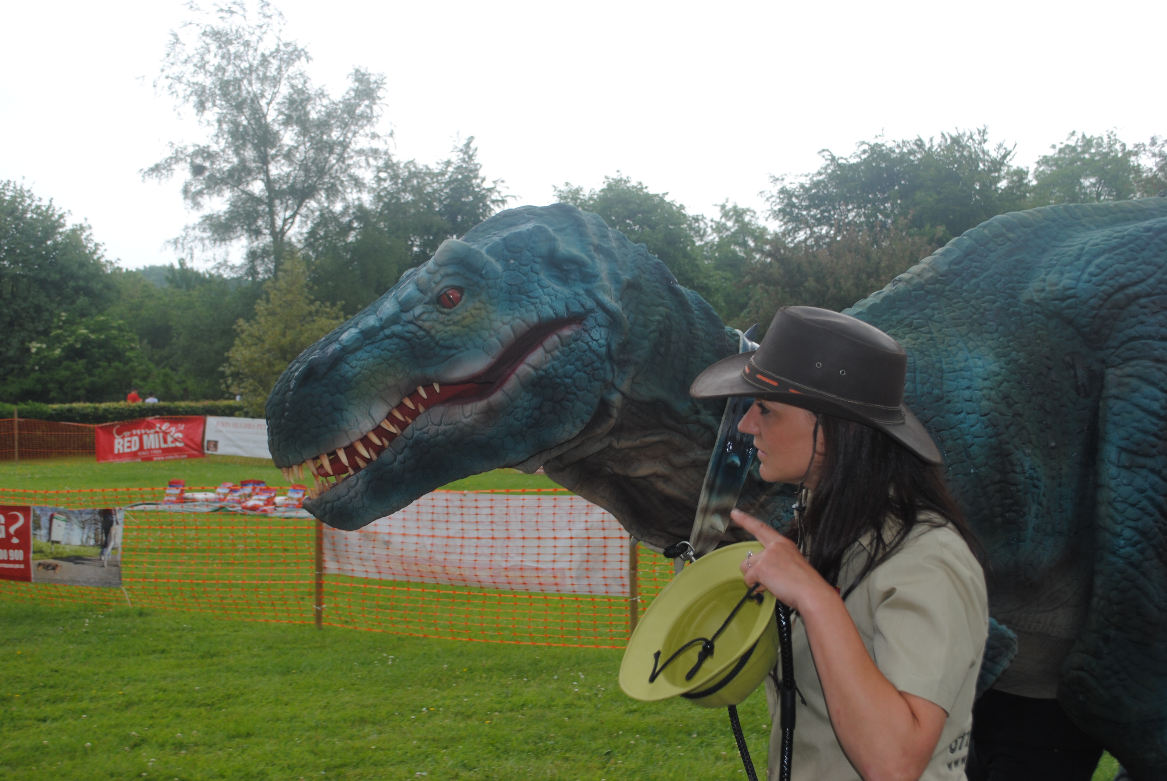 dinosaur attraction at festival