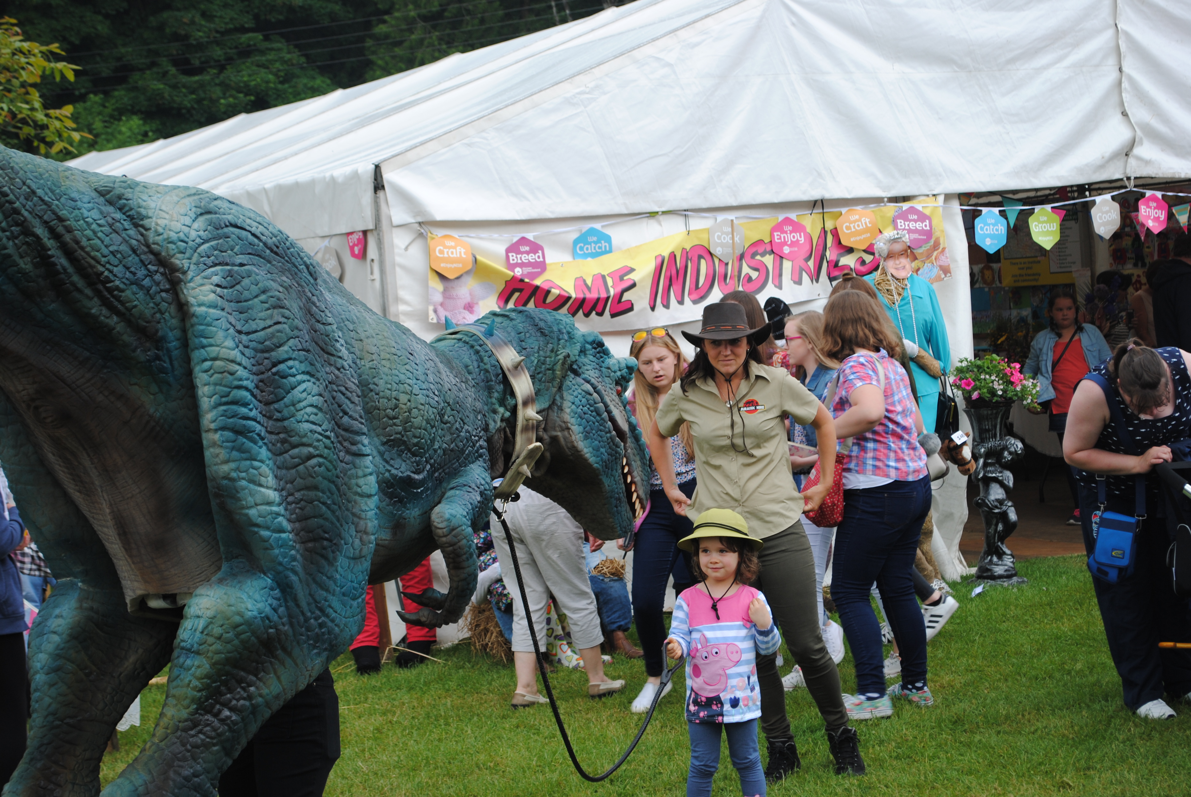 dinosaur festival attraction (1)