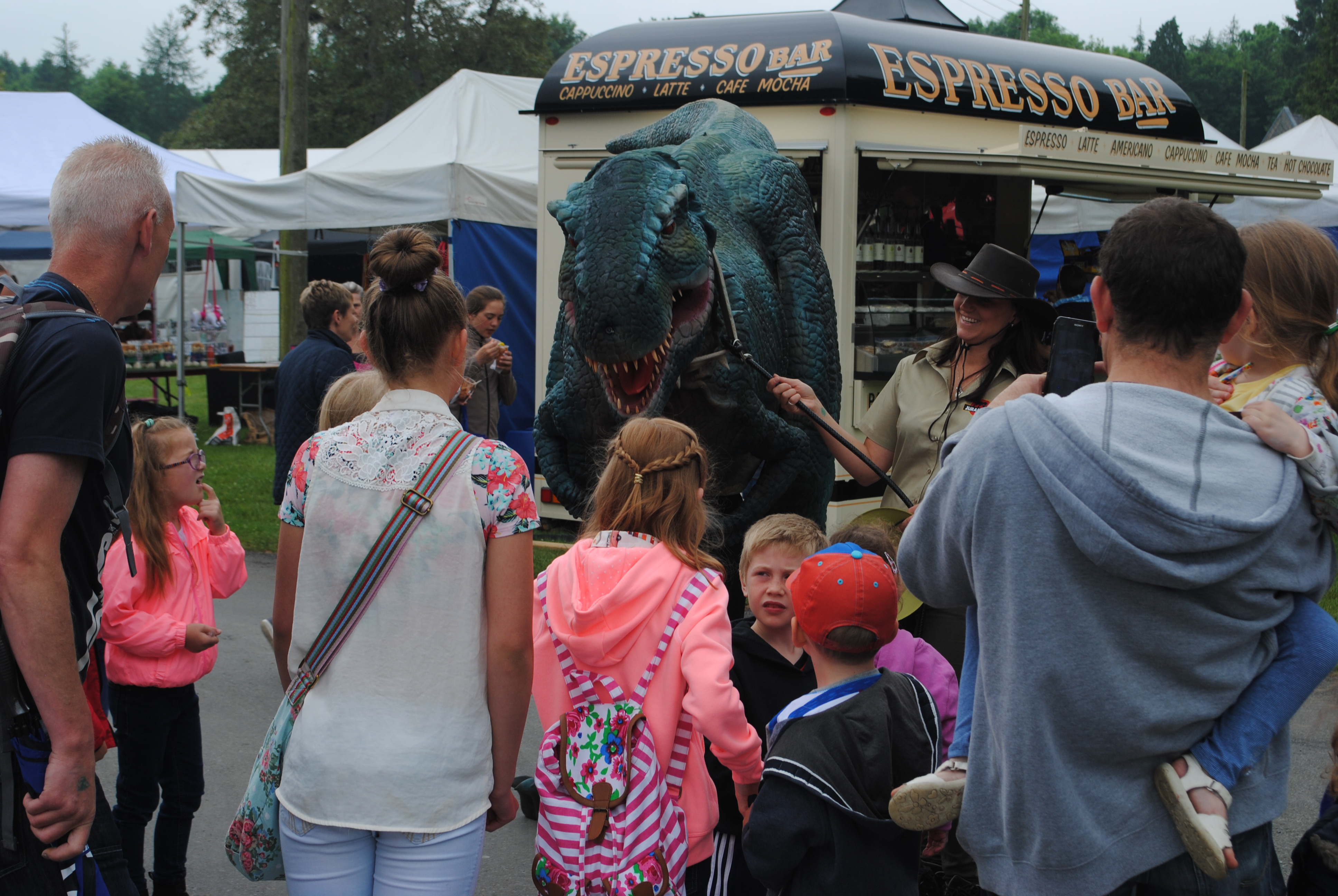 dinosaur local show ireland